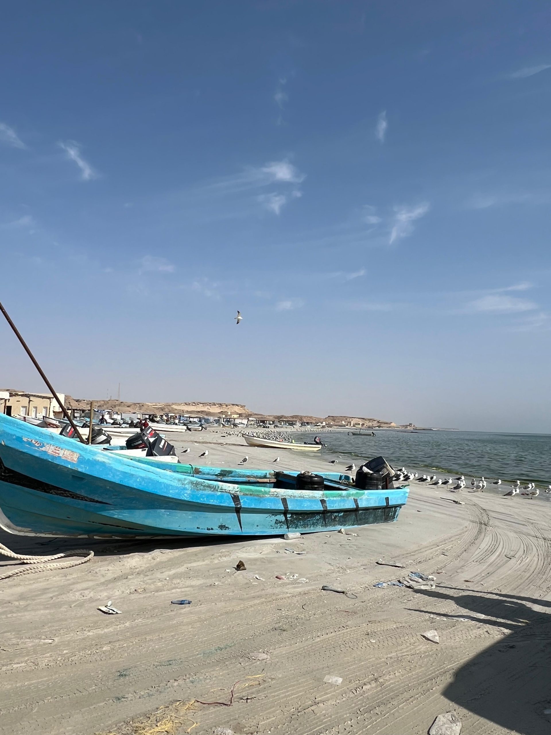 Entre désert, mer et montagne, vivez l’aventure autrement (12 jours) – Image 21